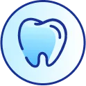 Home 24 Dental Formula RD