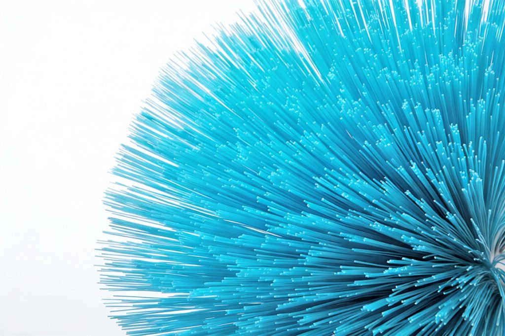 Toothbrush 12 Biodegradable toothbrush bristles