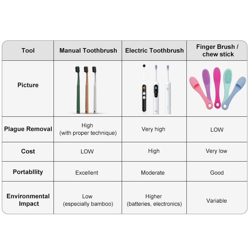Toothbrush 19 Manual vs Electric