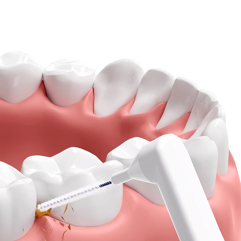 Interdental Brush 12 benefits of using interdental brushes