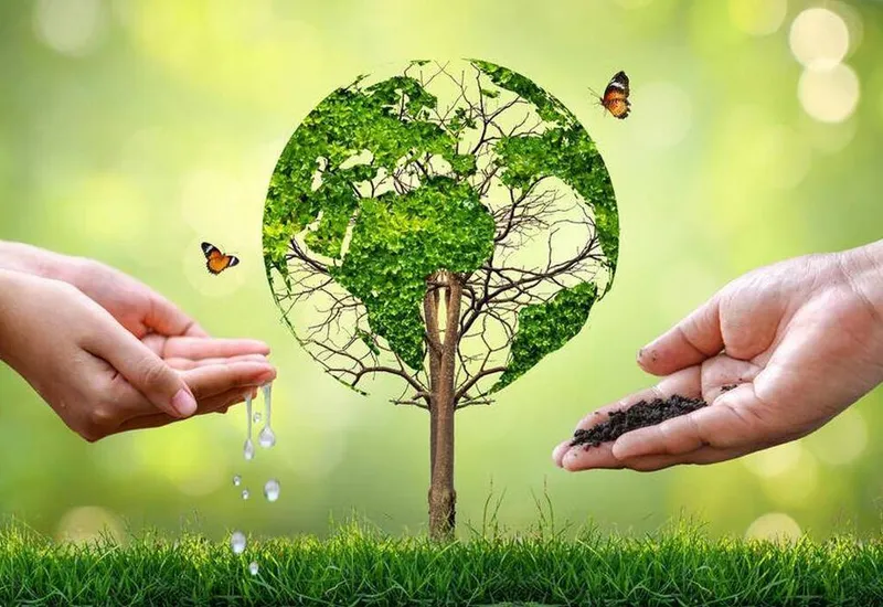 Sustainable Development 4 Hands nurturing a tree shaped like the Earth, symbolizing our commitment to responsible business, ethical supply chains, and sustainable practices.