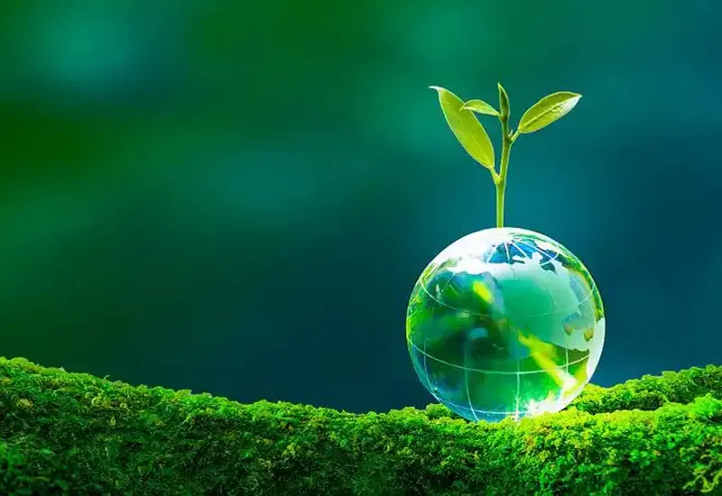 Sustainable Development 3 A glass globe with a growing green sprout on moss, representing our commitment to eco-conscious product design and low-impact manufacturing in oral care.
