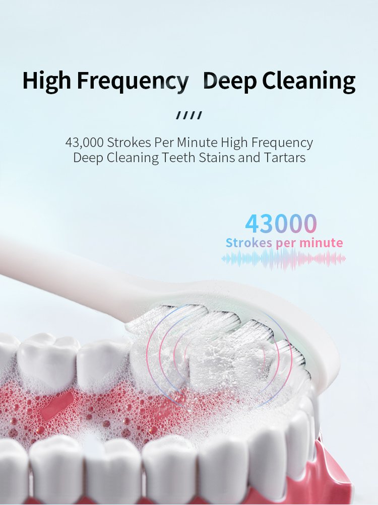 electric toothbrush rlt2001 details 4
