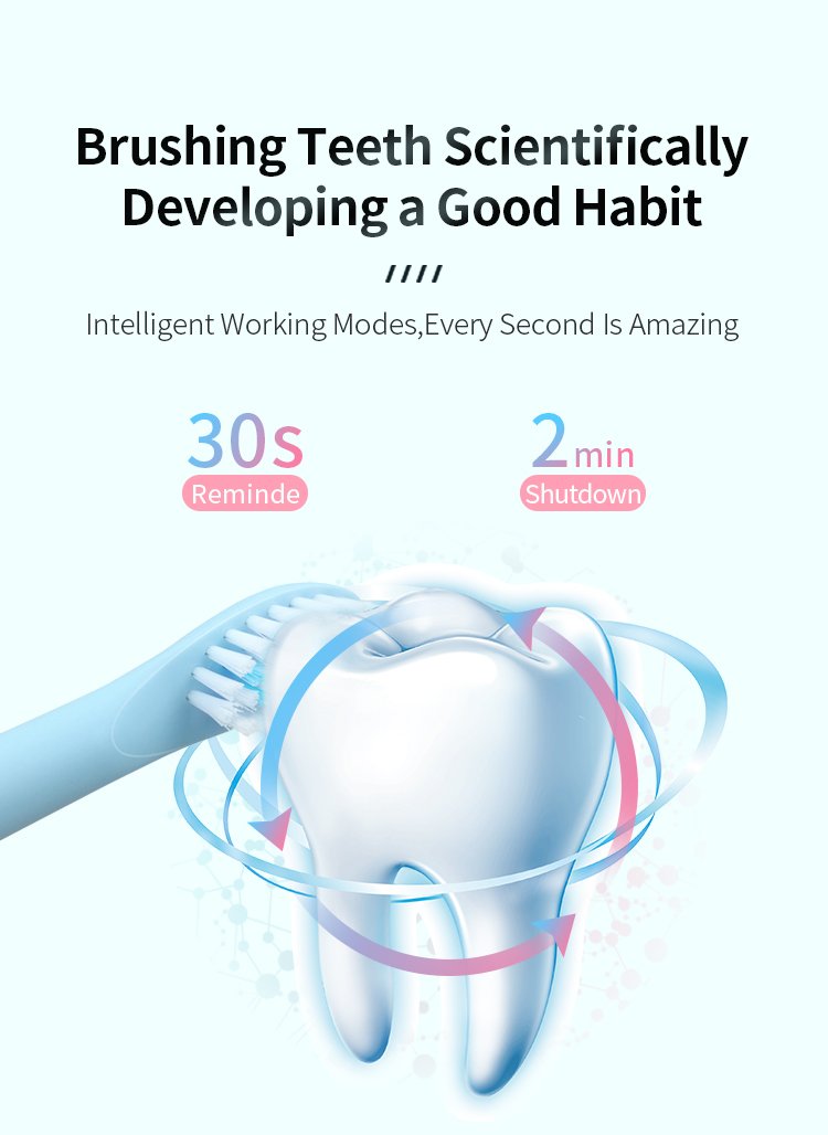 electric toothbrush rlt2001 details 6