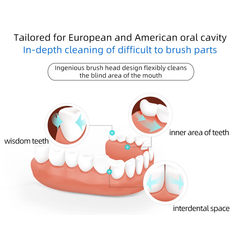 electric toothbrush rlt205 details 9