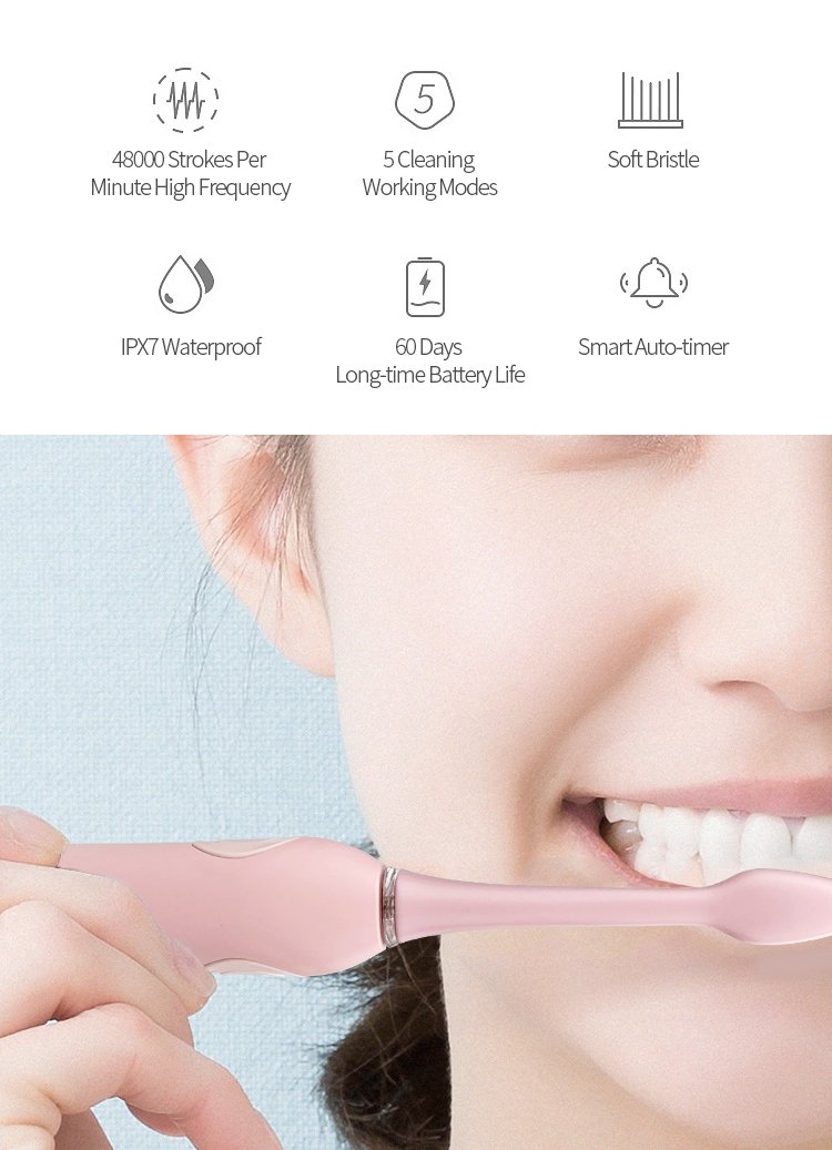 electric toothbrush rlt246 details 2