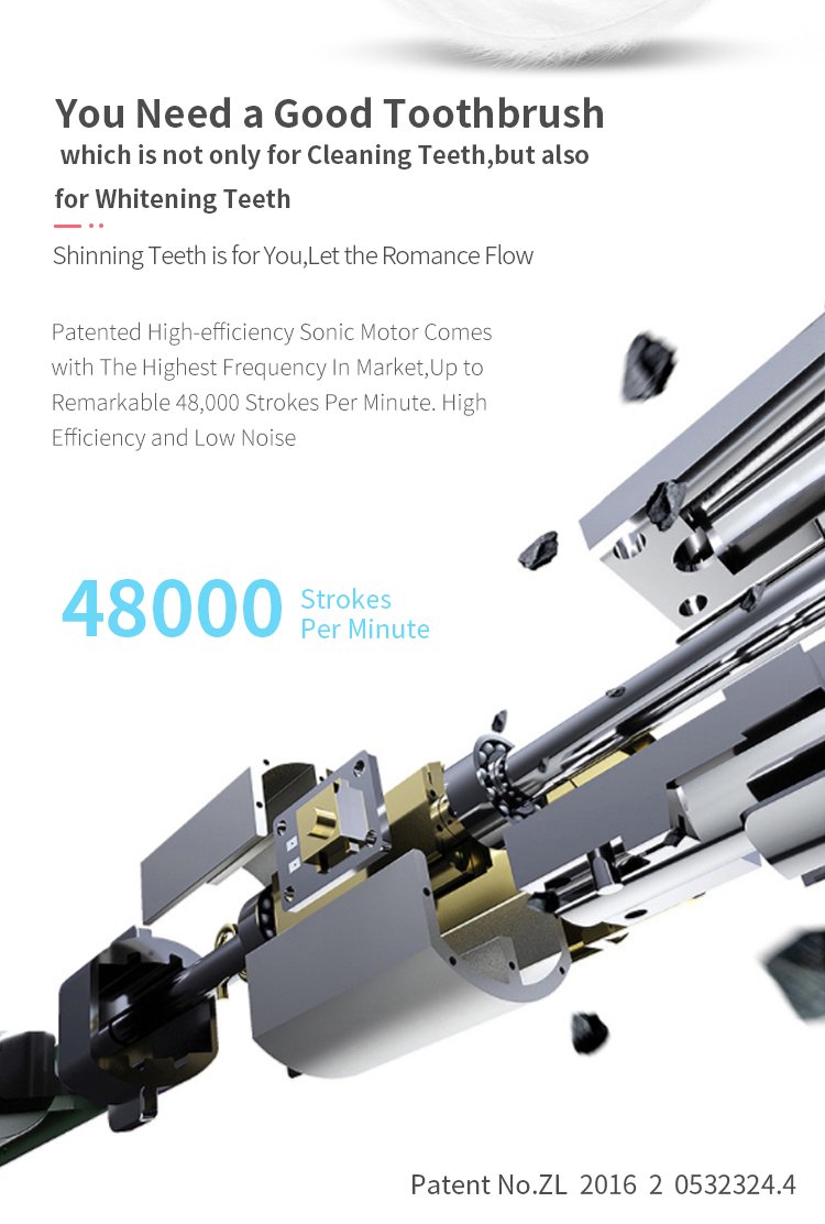 electric toothbrush rlt246 details 5