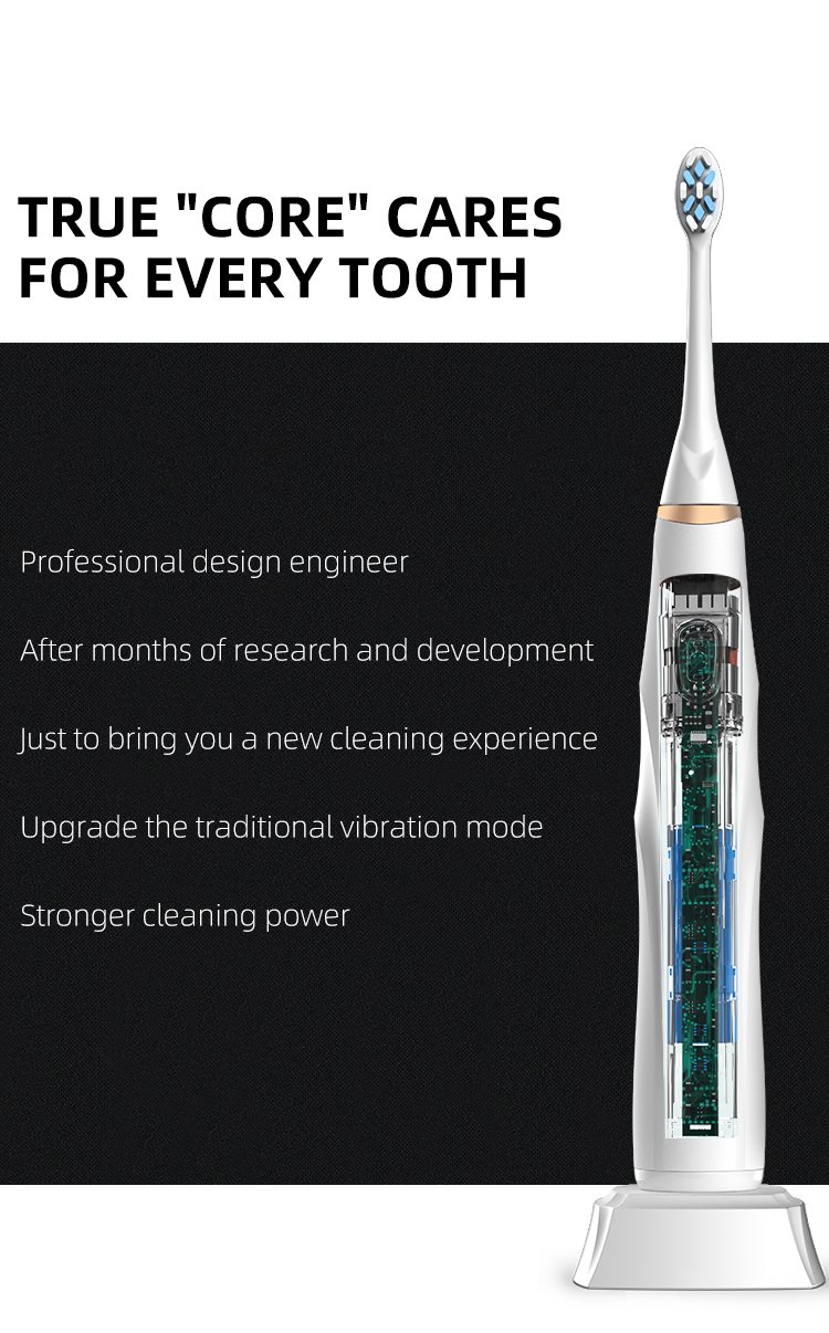 High-Performance 48,000 VPM Sonic Toothbrush – OEM Model RLT288 13 electric toothbrush rlt288 details 11