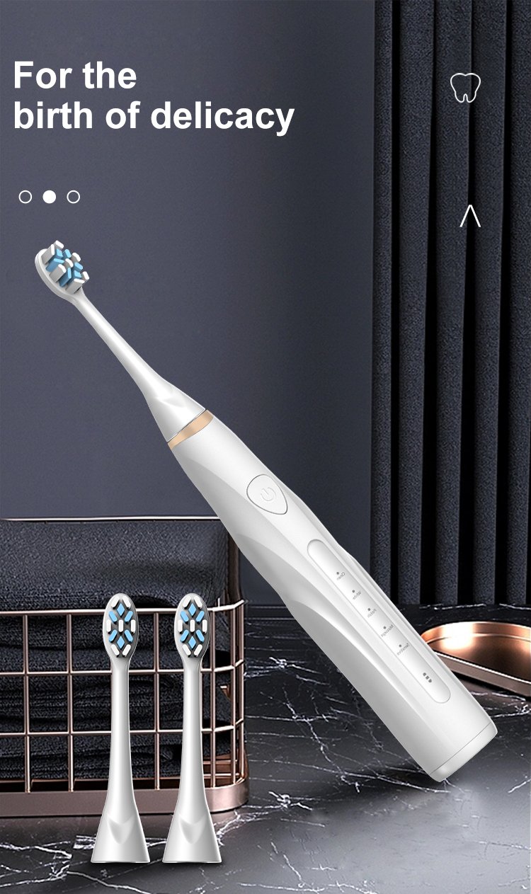 High-Performance 48,000 VPM Sonic Toothbrush – OEM Model RLT288 6 electric toothbrush rlt288 details 4