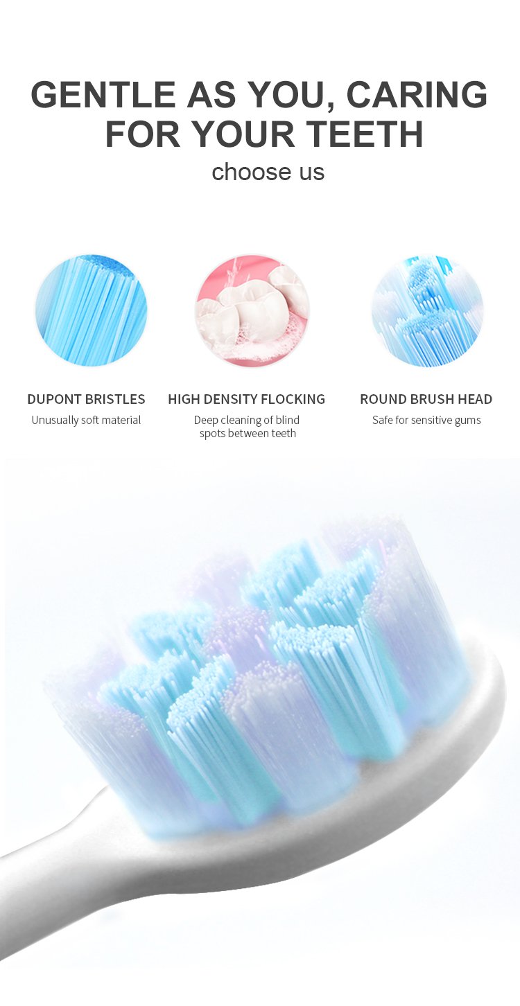 High-Performance 48,000 VPM Sonic Toothbrush – OEM Model RLT288 9 electric toothbrush rlt288 details 7