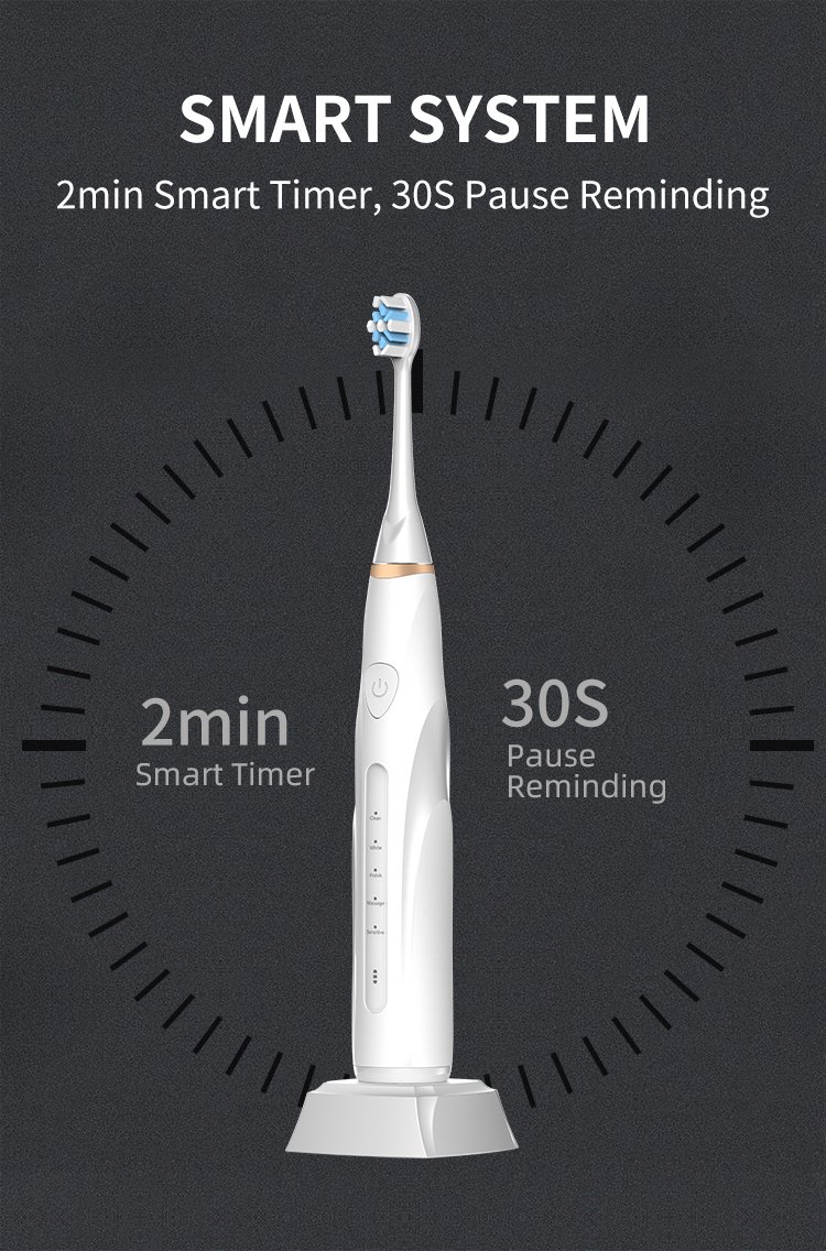 High-Performance 48,000 VPM Sonic Toothbrush – OEM Model RLT288 10 electric toothbrush rlt288 details 8