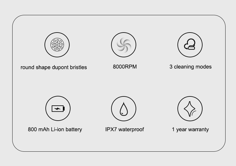 High-Speed Rotating Electric Toothbrush – Private Label Model RLT3006 4 electric toothbrush rlt3006 details 2
