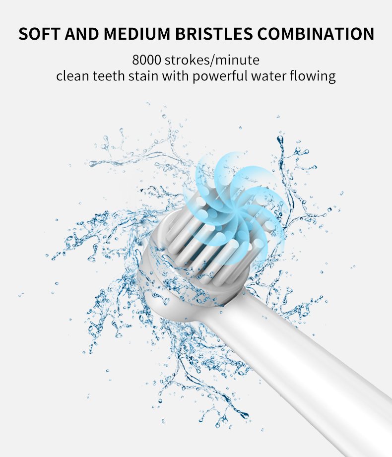 High-Speed Rotating Electric Toothbrush – Private Label Model RLT3006 5 electric toothbrush rlt3006 details 3
