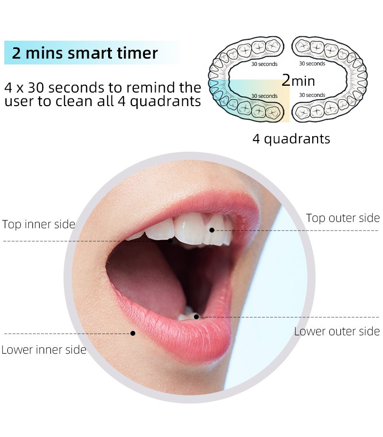 High-Speed Rotating Electric Toothbrush – Private Label Model RLT3006 7 electric toothbrush rlt3006 details 5