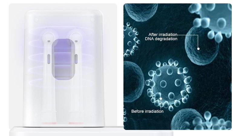 electric toothbrush tr7507a details 2