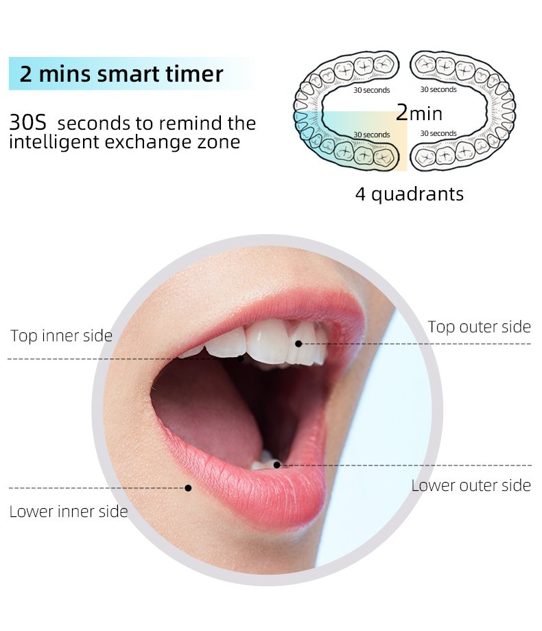 Premium 5-Mode Sonic Electric Toothbrush – Private Label Model TS1006 8 electric toothbrush ts1006 details 6
