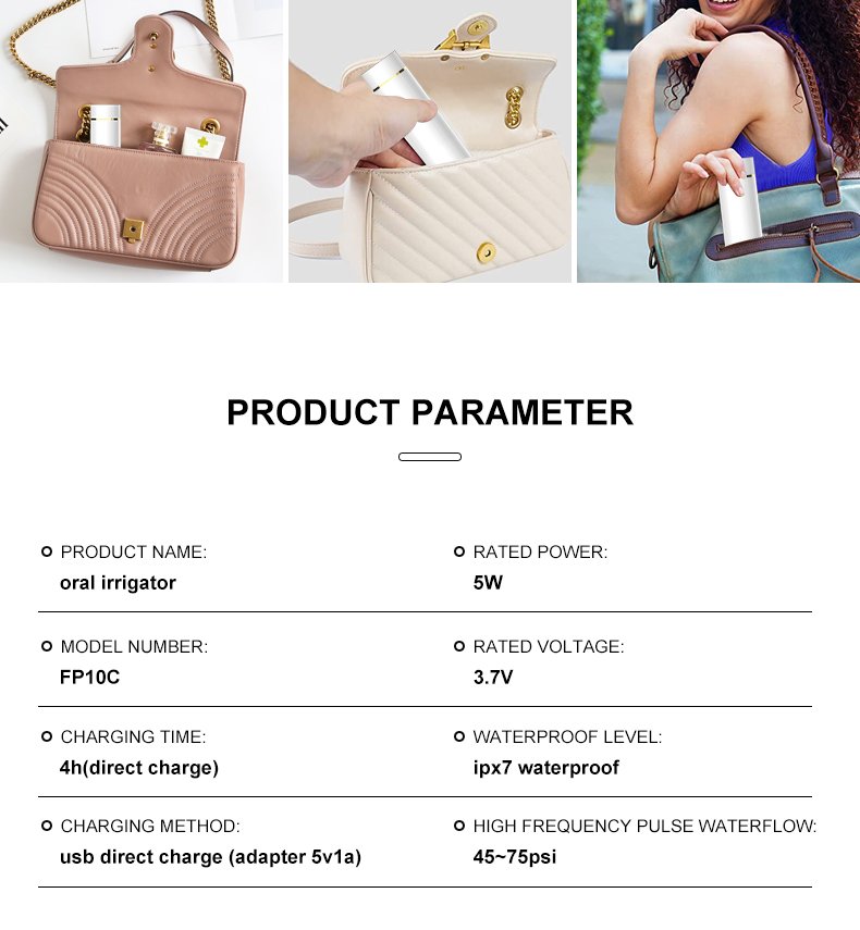 FP10CSuper Mini Travel Water Flosser – Private Label Model FP10CFP10C 13 water flosser fp10c details 11