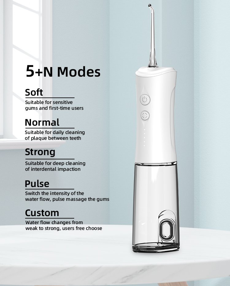 water flosser rli507 details 10